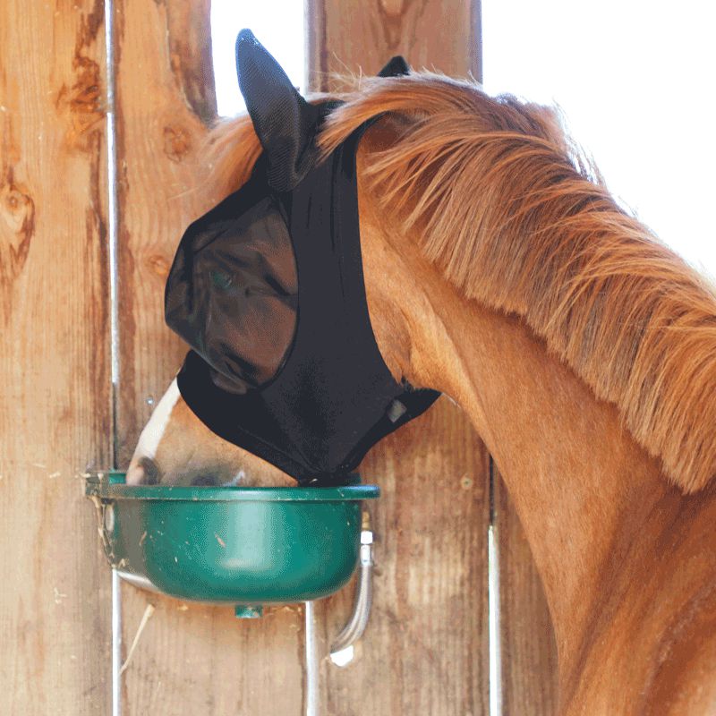 Kentucky Horsewear - Slim Fit Fly Mask for Ponies | - Ohlala