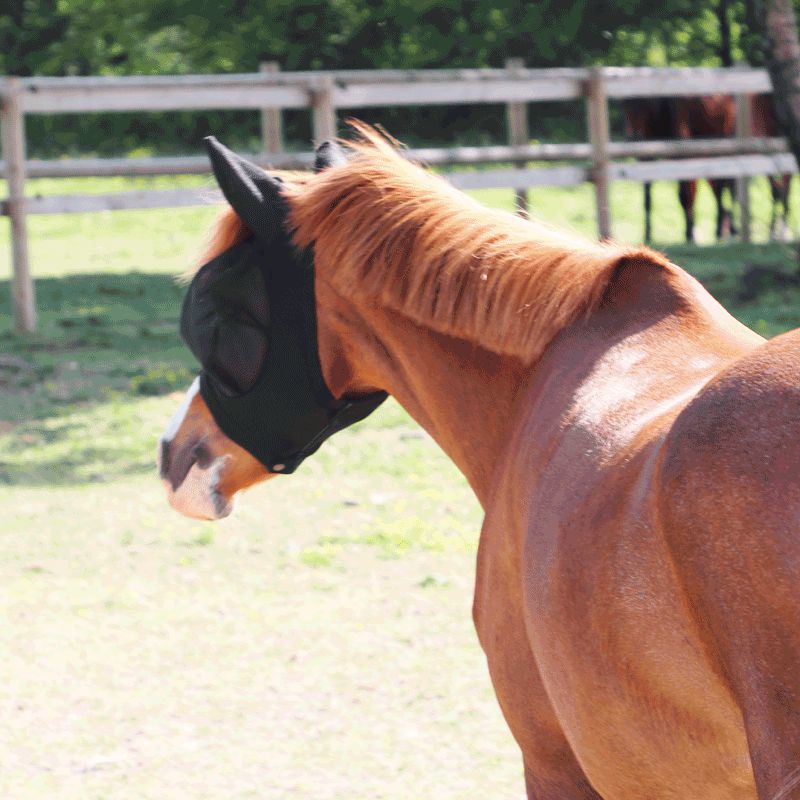 Kentucky Horsewear - Slim Fit Fly Mask for Ponies | - Ohlala