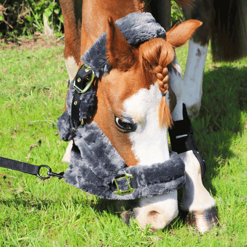 Kentucky Horsewear - Grey Sheepskin Transport Headcollar | - Ohlala
