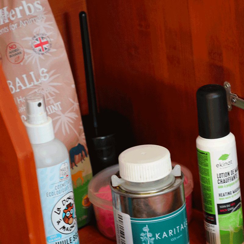 Ekkia - ポット付き蹄用ブラシ | - Ohlala