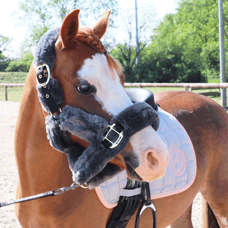 Kentucky Horsewear - Grey Sheepskin Transport Headcollar | - Ohlala