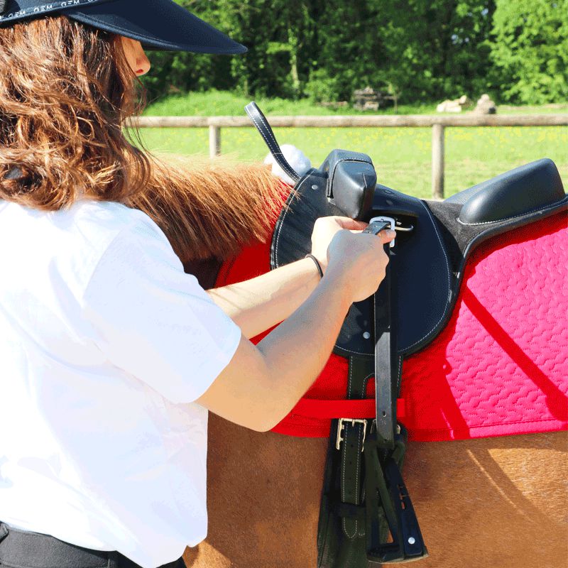 TdeT - Thérèse red saddle pad | - Ohlala