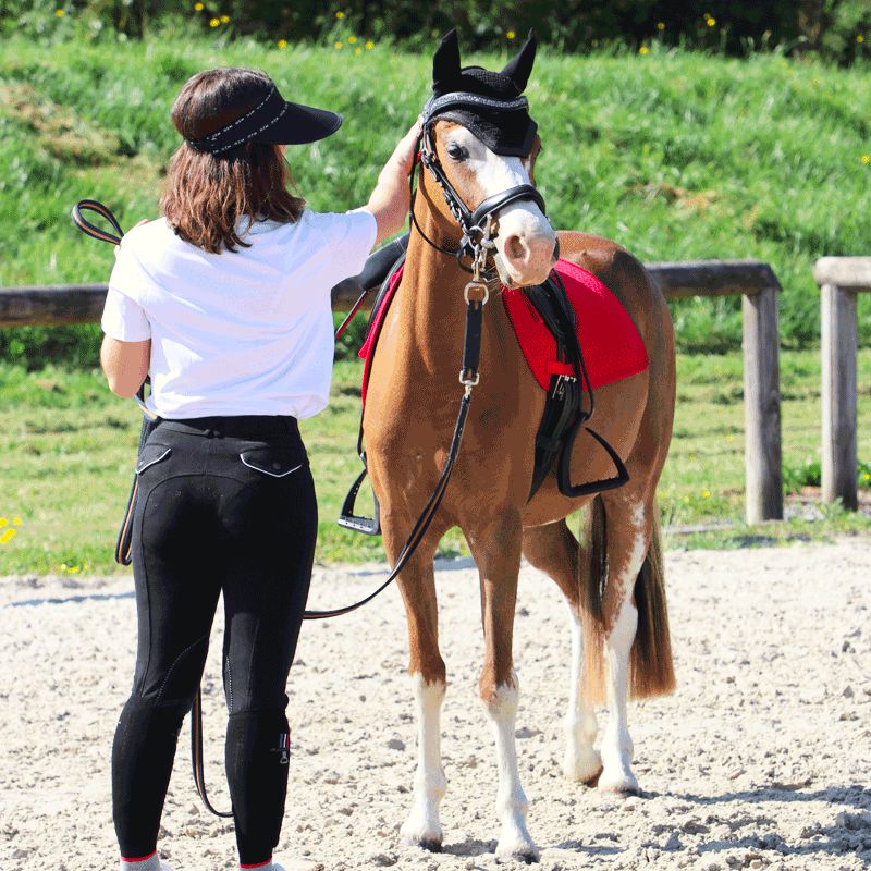 TdeT - Thérèse red saddle pad | - Ohlala