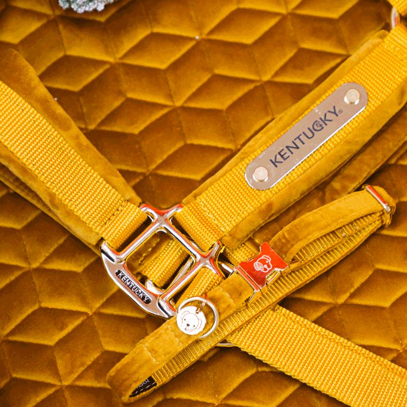 Kentucky Horsewear - Cabezada Velvet mostaza | - Ohlala