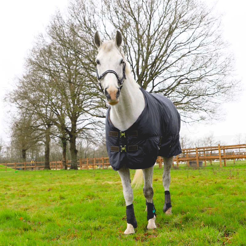 Kentucky Horsewear - Außendecke all weather hurricane 0g marine | - Ohlala