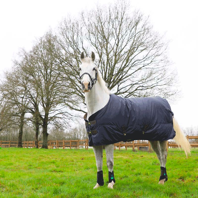 Kentucky Horsewear - Outdoor-Decke All Weather Hurricane 0g Marine | - Ohlala