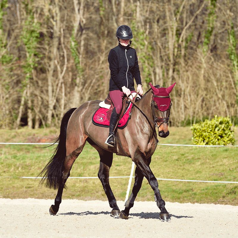 Horse Pilot - Damen Reithose X-Design bordeaux | - Ohlala