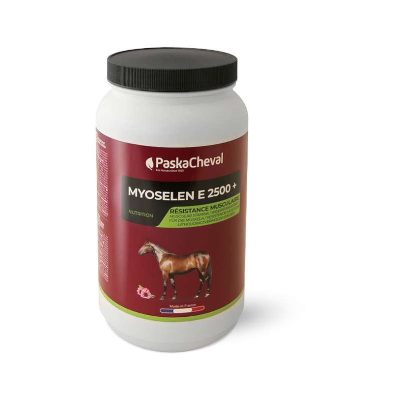 Paskacheval - Complément alimentaire musculaire Myoselen E 2500+ | - Ohlala