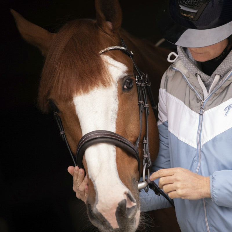 Pénélope - Daily Strass havana bridle | - Ohlala