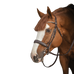 Pénélope - Daily Strass havana bridle | - Ohlala