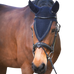 Pénélope - Bonnet pour chevaux long Strass marine | - Ohlala