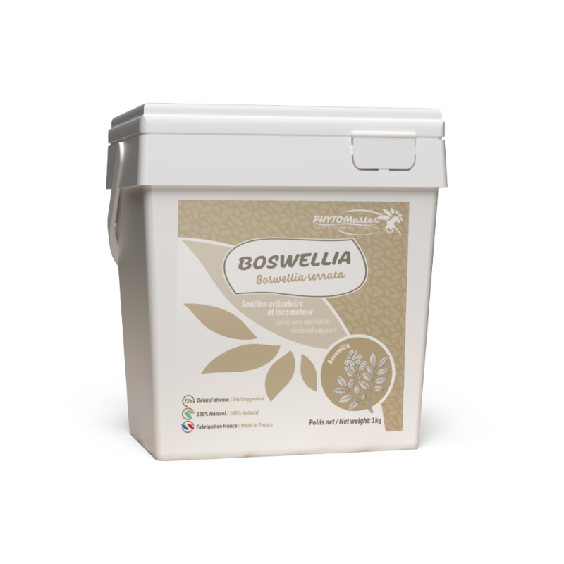 PhytoMaster - Suplement diety lokomocja Boswellia w proszku