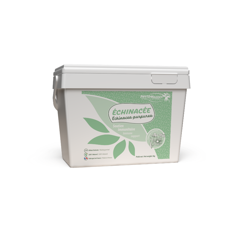 PhytoMaster - Echinacea Immune Support Supplement