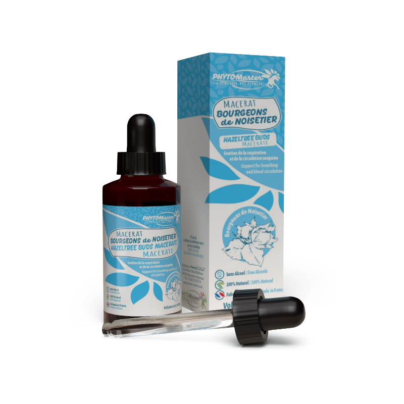 PhytoMaster – Hazel Bud Macerate Supplement