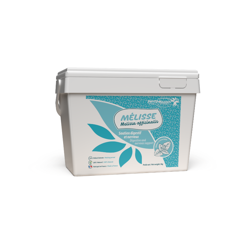 PhytoMaster - Lemon Balm Digestive & Nervous Support Supplement