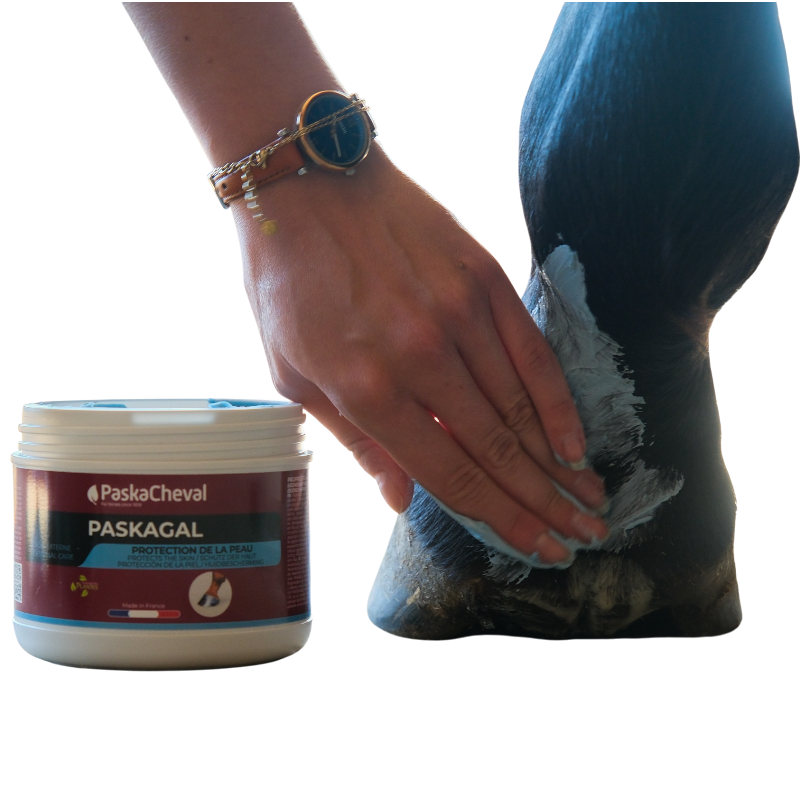 Paskacheval - Pommade régénérante gale de boue Paskagal | - Ohlala
