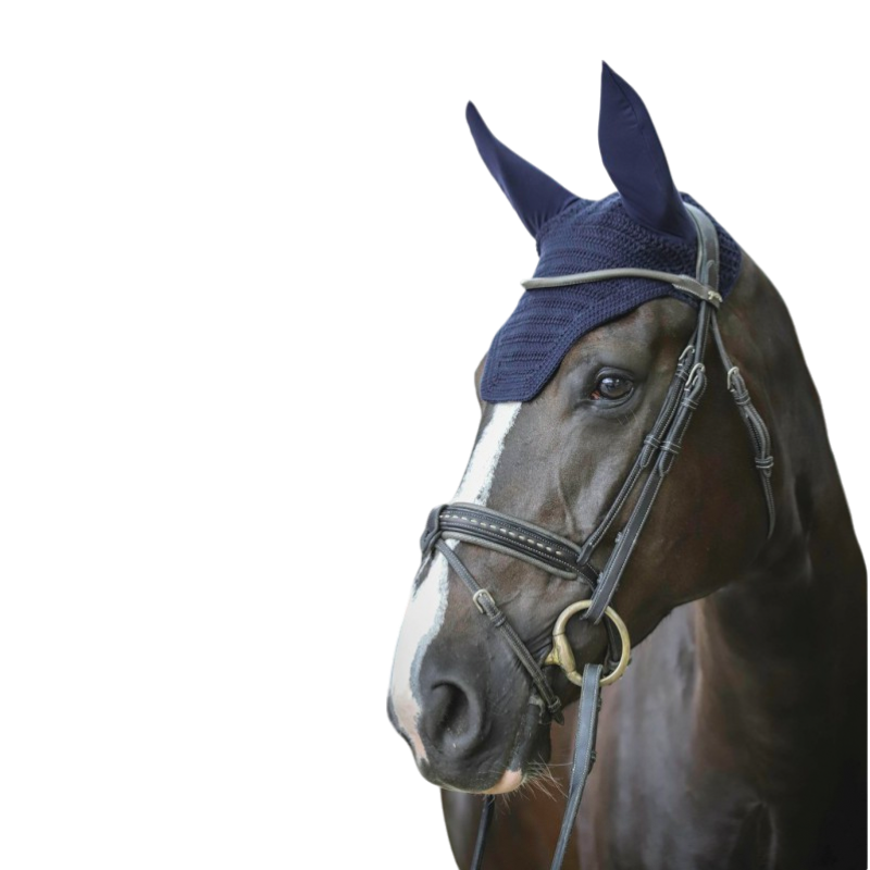 Paddock Sports - Cuffia pro cotone blu navy | - Ohlala