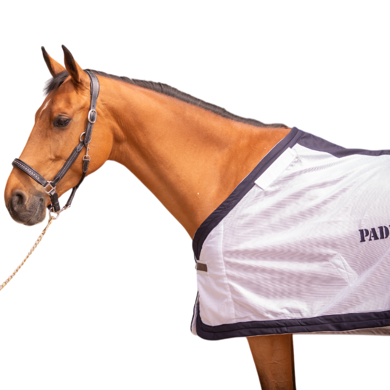 Paddock Sports - Camisa exterior UV Mesh Combo blanco | - Ohlala