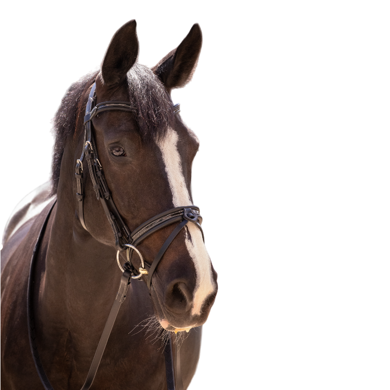 Pénélope - Smoothie bridle with black reins | - Ohlala