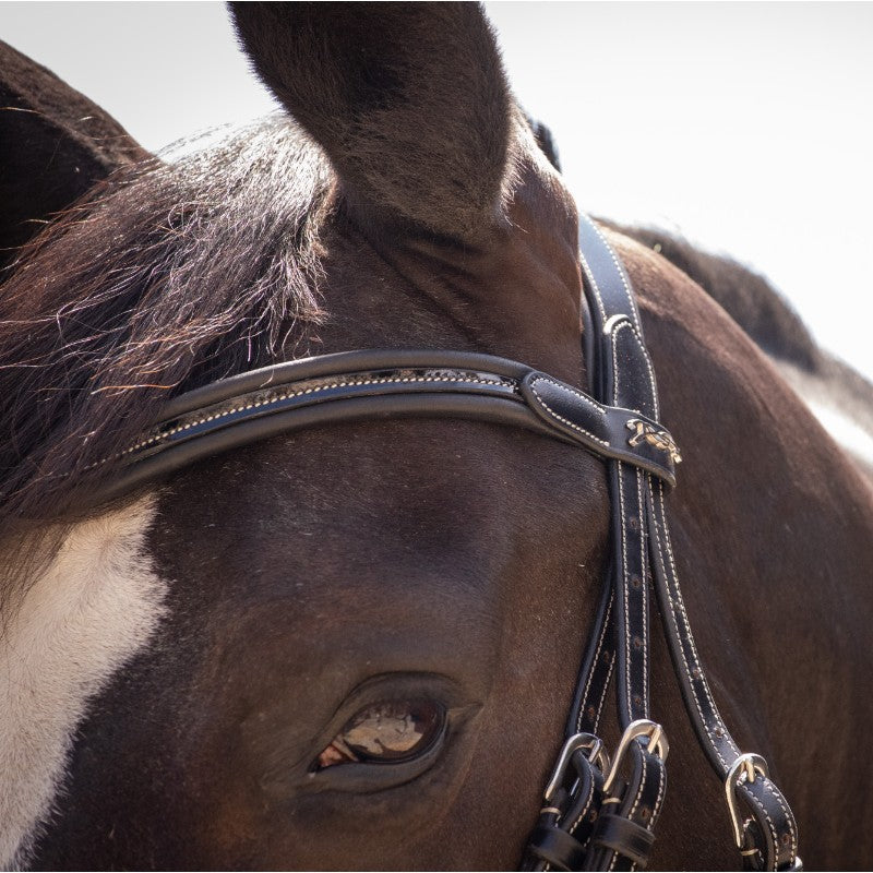 Pénélope - Smoothie bridle with black reins | - Ohlala