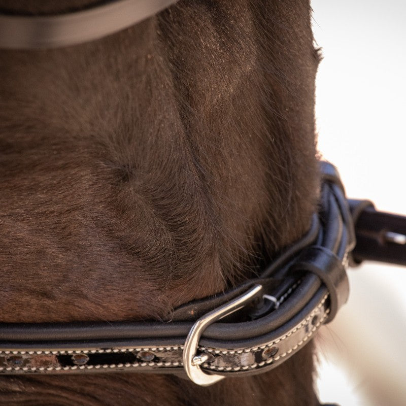 Pénélope - Smoothie bridle with black reins | - Ohlala