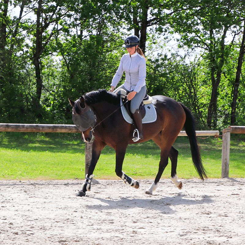 Jump'In - Women's riding breeches Super X Grey | - Ohlala