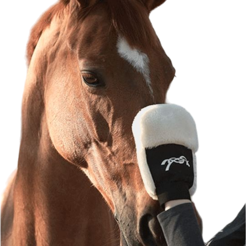 Pénélope - Grooming glove | - Ohlala