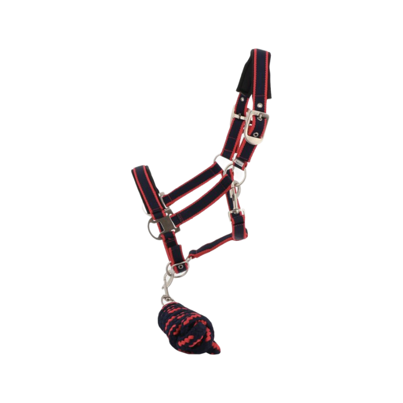 Equithème - Satin Halter + Lead Rope Navy/Fuchsia | - Ohlala