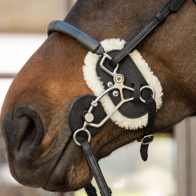 Black Hackamore Guards - Dyon