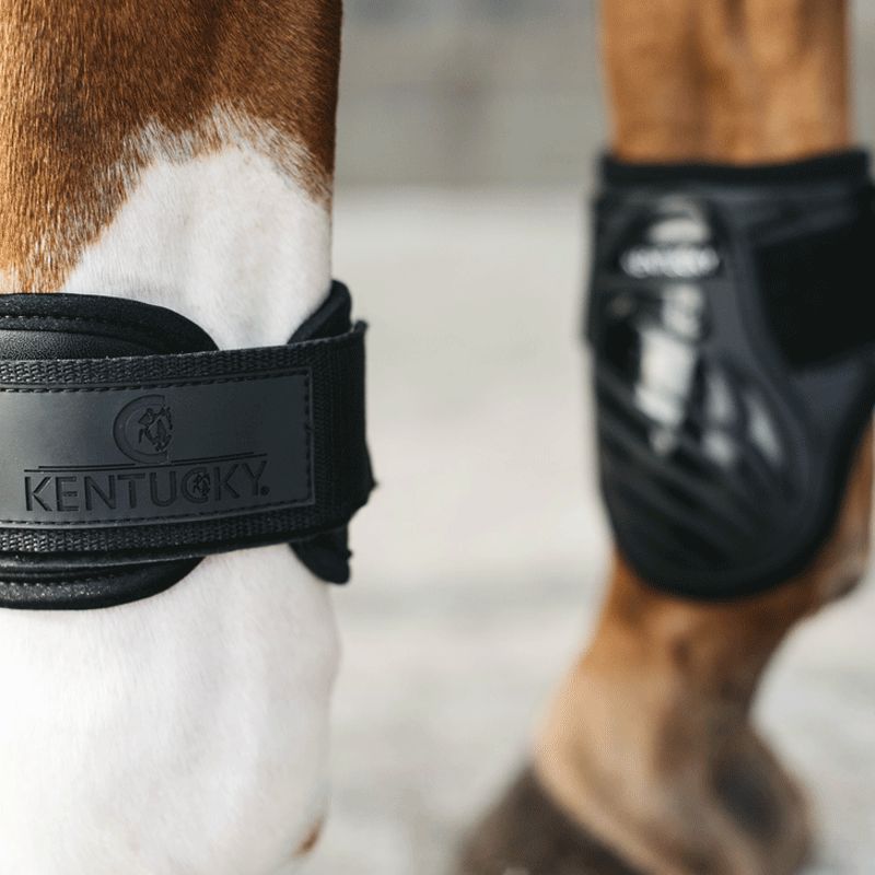Kentucky Horsewear - Fesselschutz Jungpferde schwarz | - Ohlala