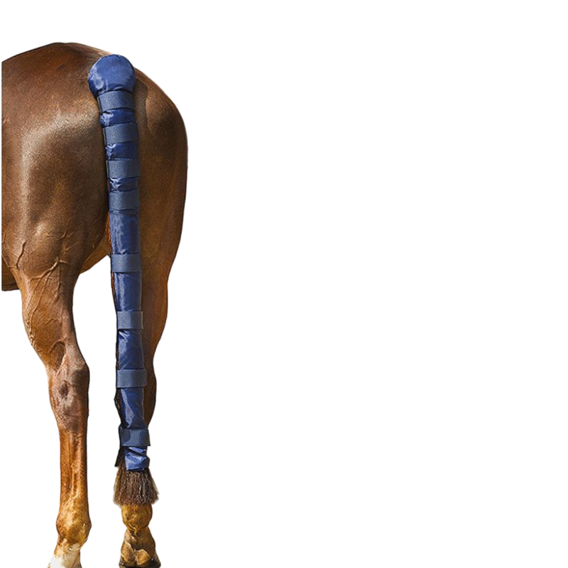 Norton - Protège-queue Doudoune long | - Ohlala