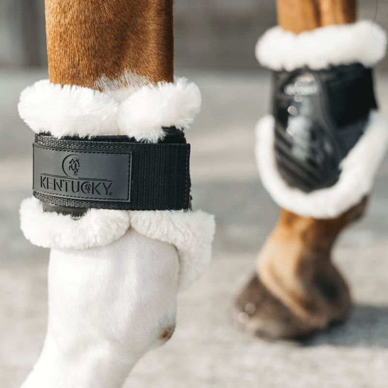 Kentucky Horsewear - Paraglomi per puledri in montone vegan nero | - Ohlala