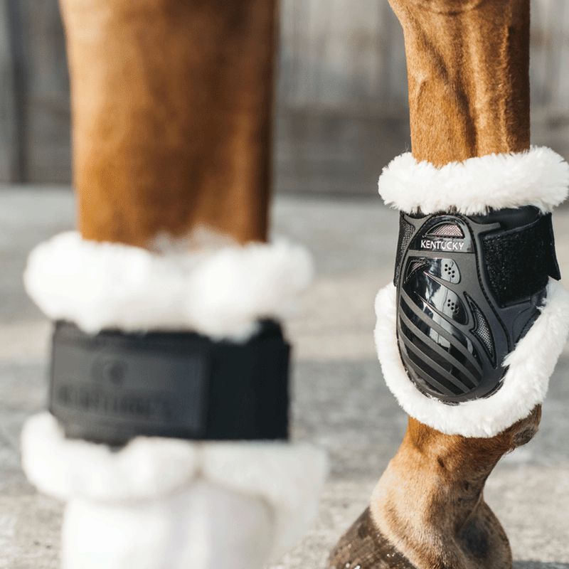 Kentucky Horsewear - Paraglomi per puledri in montone vegan nero | - Ohlala