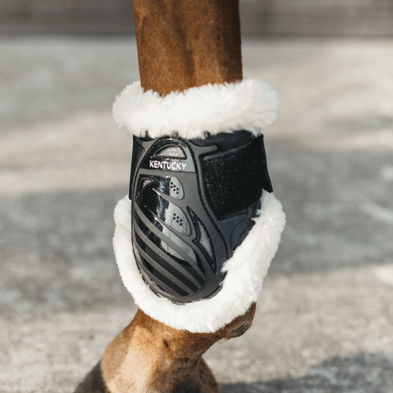 Kentucky Horsewear - Paraglomi per puledri in montone vegan nero | - Ohlala