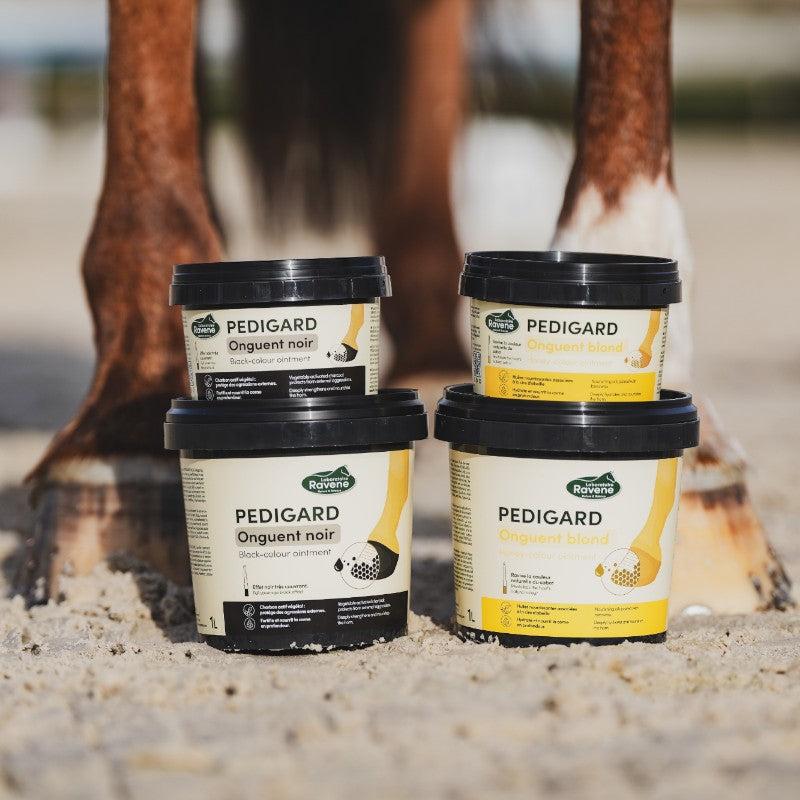 Ravene - Pedigard Black Hoof Ointment 750ml | - Ohlala