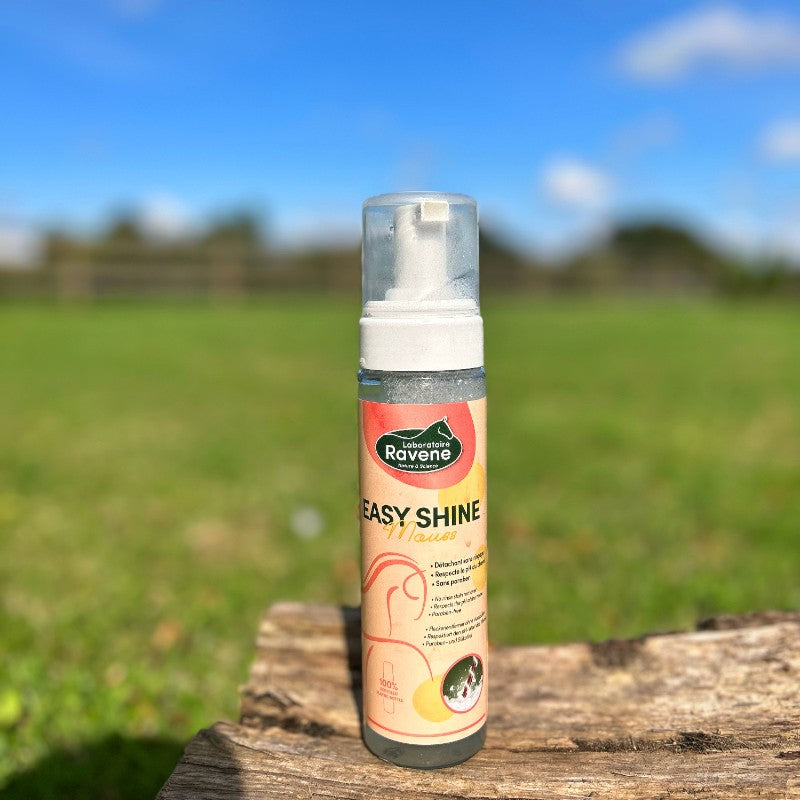 Ravene - ドライシャンプー 泡タイプ 汚れ落とし Easy Shine 200ml | - Ohlala