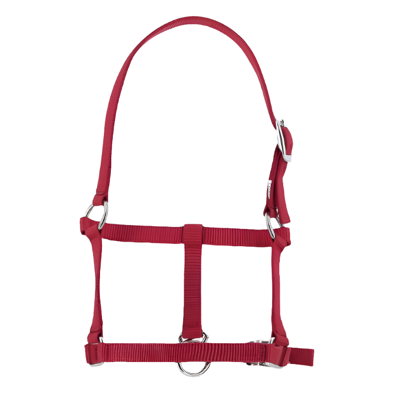 Riding World - Foal halter burgundy | - Ohlala