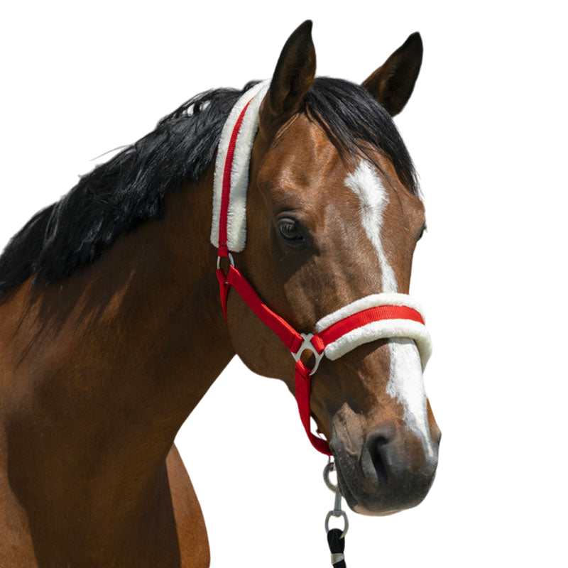 Riding World - Kantarek z syntetycznym barankiem czerwony | - Ohlala