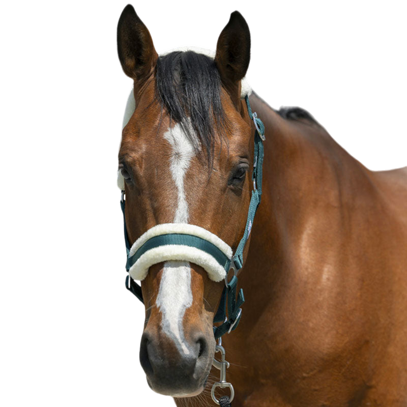 Riding World - Synthetic sheepskin halter dark green | - Ohlala