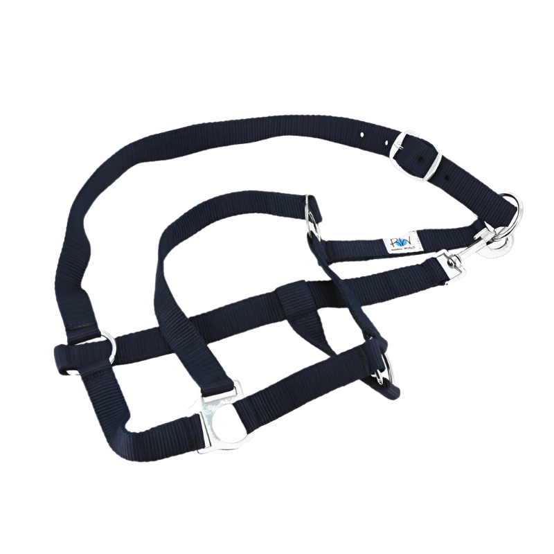 Riding World - Komplettset Halfter, Polobandagen und Decke marine | - Ohlala