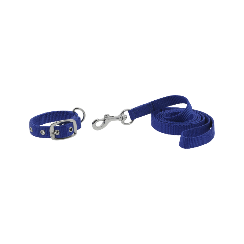 Riding World - Oscar dog collar and leash set in royal blue | - Ohlala