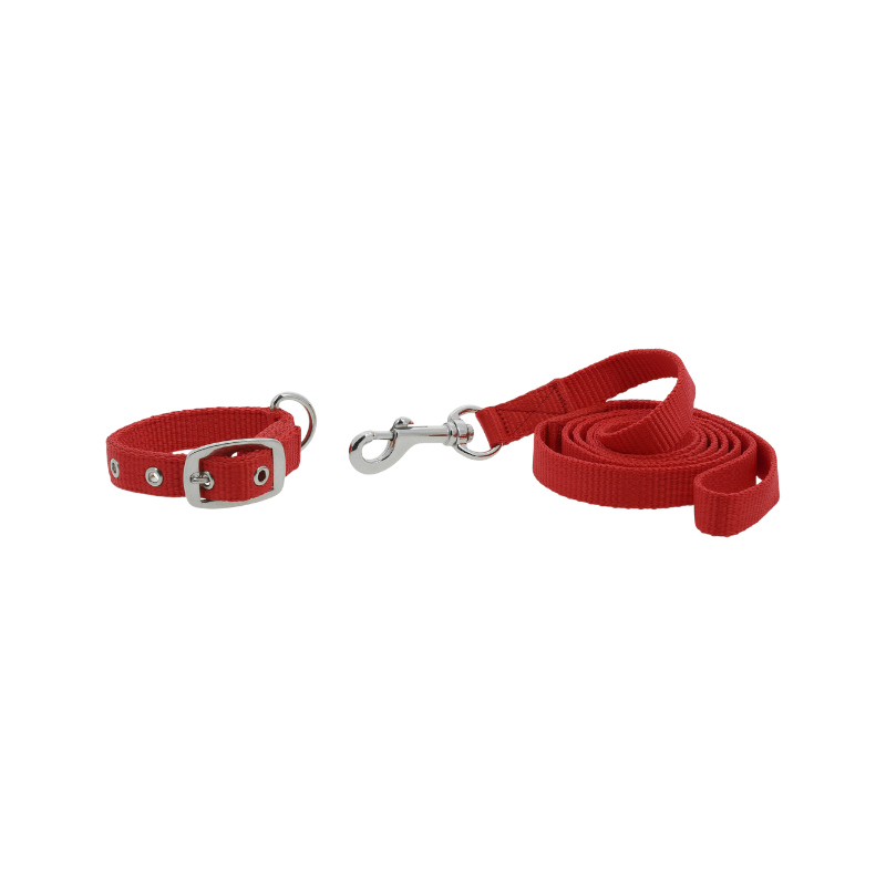 Riding World - Oscar dog collar and leash set in red | - Ohlala
