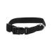 Riding World - Pat dog collar in black | - Ohlala