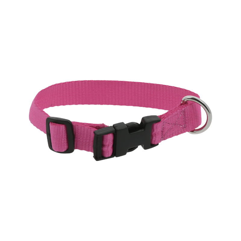 Riding World - Pat dog collar in pink | - Ohlala