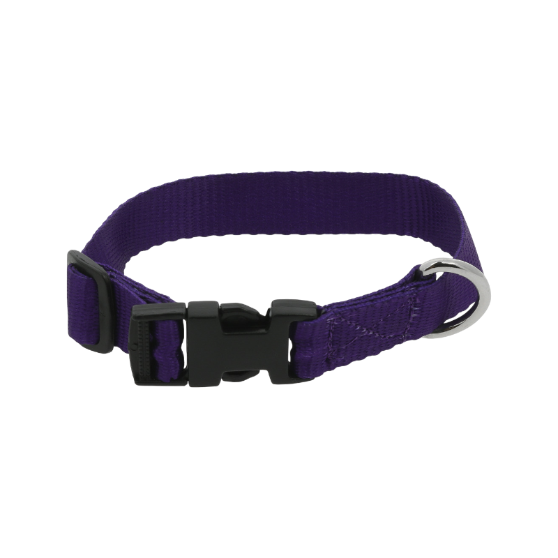 Riding World - Pat dog collar in purple | - Ohlala