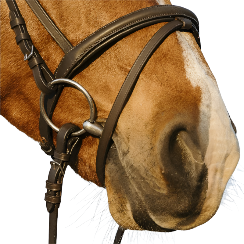 Riding World - Bridon muserolle combinée double havane avec rênes | - Ohlala