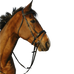 Riding World - Bridon muserolle combinée double noir | - Ohlala