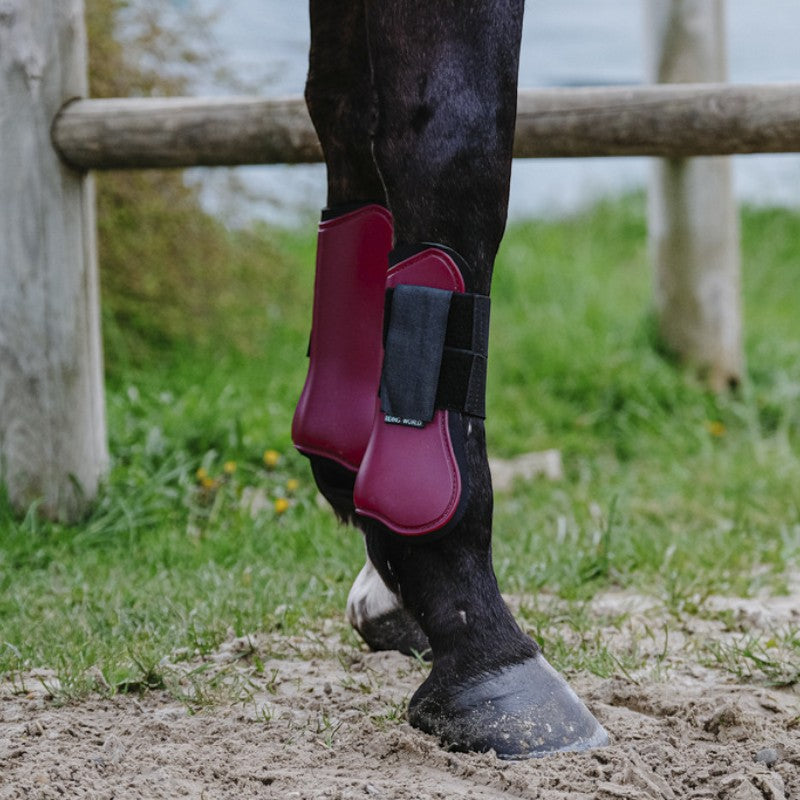 Riding World - Guêtres protège-tendons bordeaux | - Ohlala
