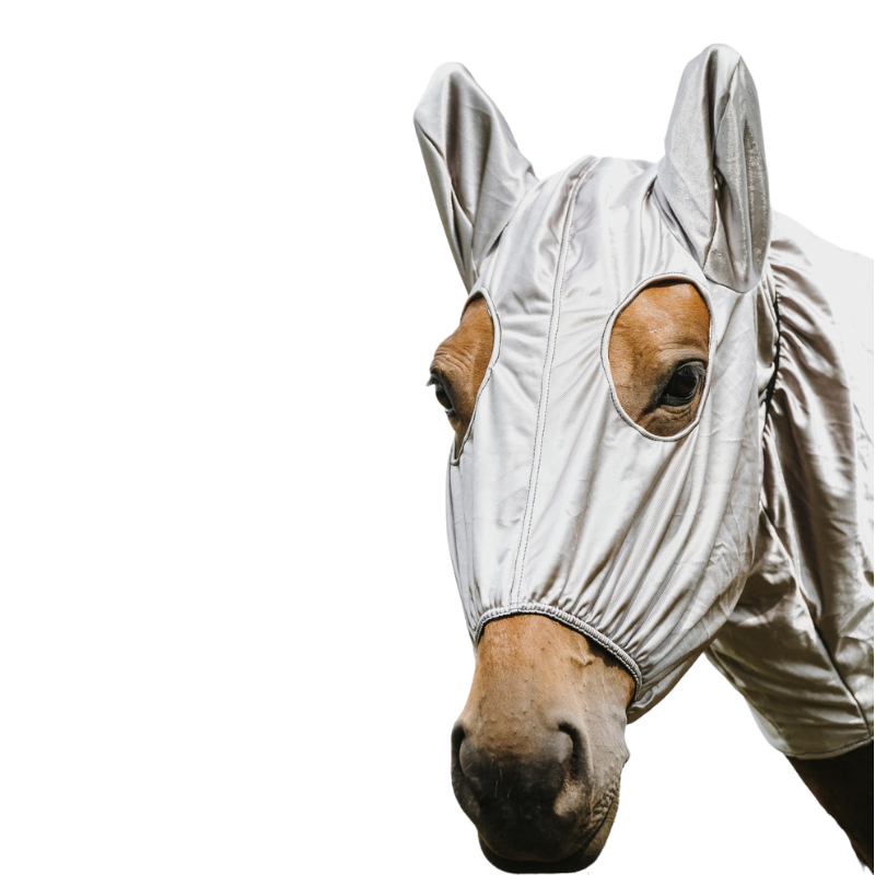 Riding World - Anti-Ekzem-Bonnet grau | - Ohlala