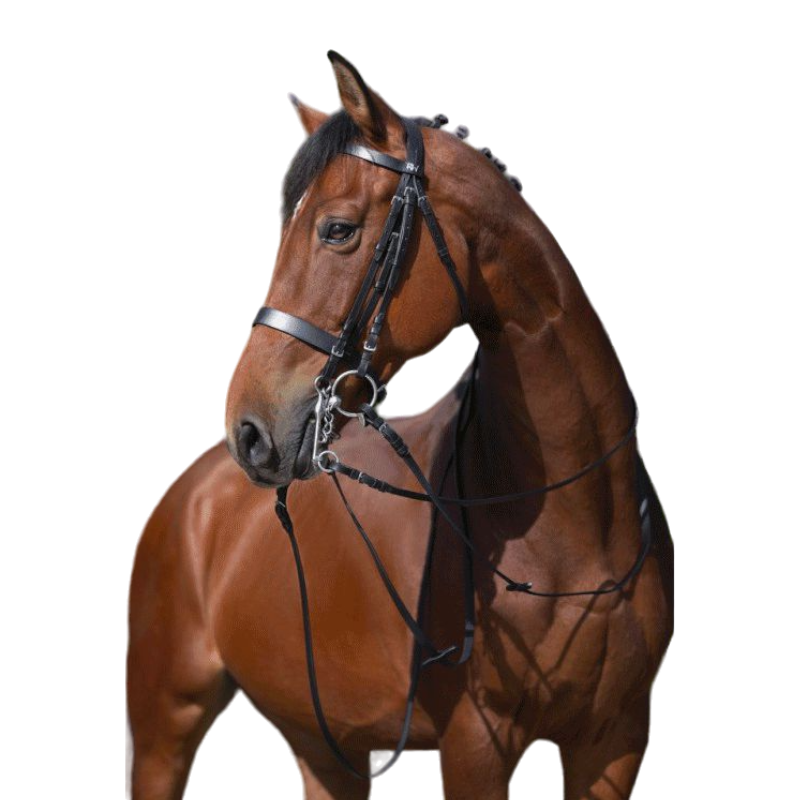 Riding World - Testiera da dressage nera con redini | - Ohlala